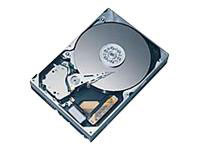 Seagate HD DiamondMax Plus9 160GBATA133 7200 8MB (6Y160P0)